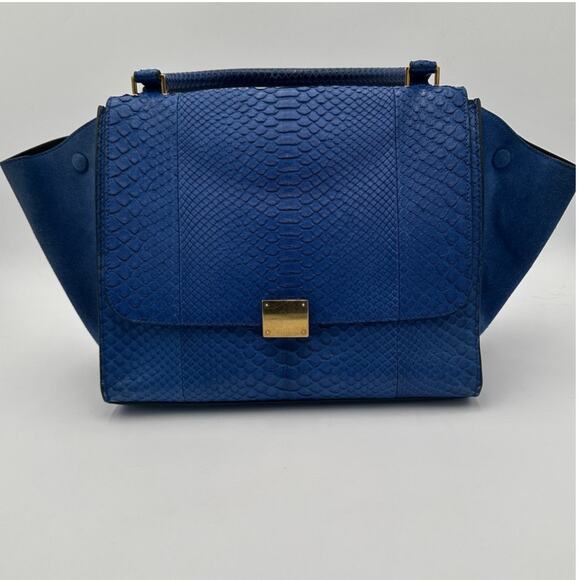 Celine Python Bag - Vintage - Picture 2 of 16